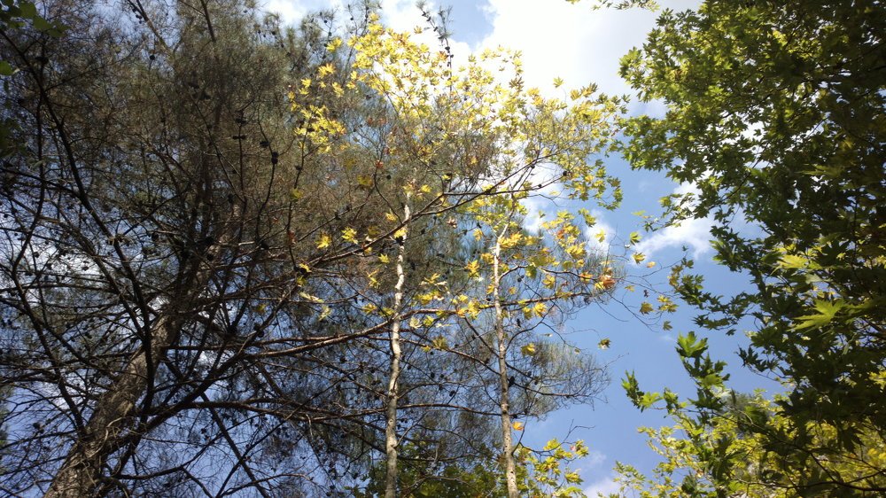 Photo #4542634