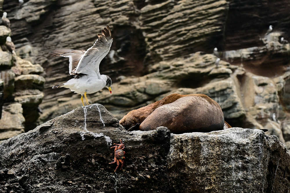 Photograph by ARTURO CRISANTO