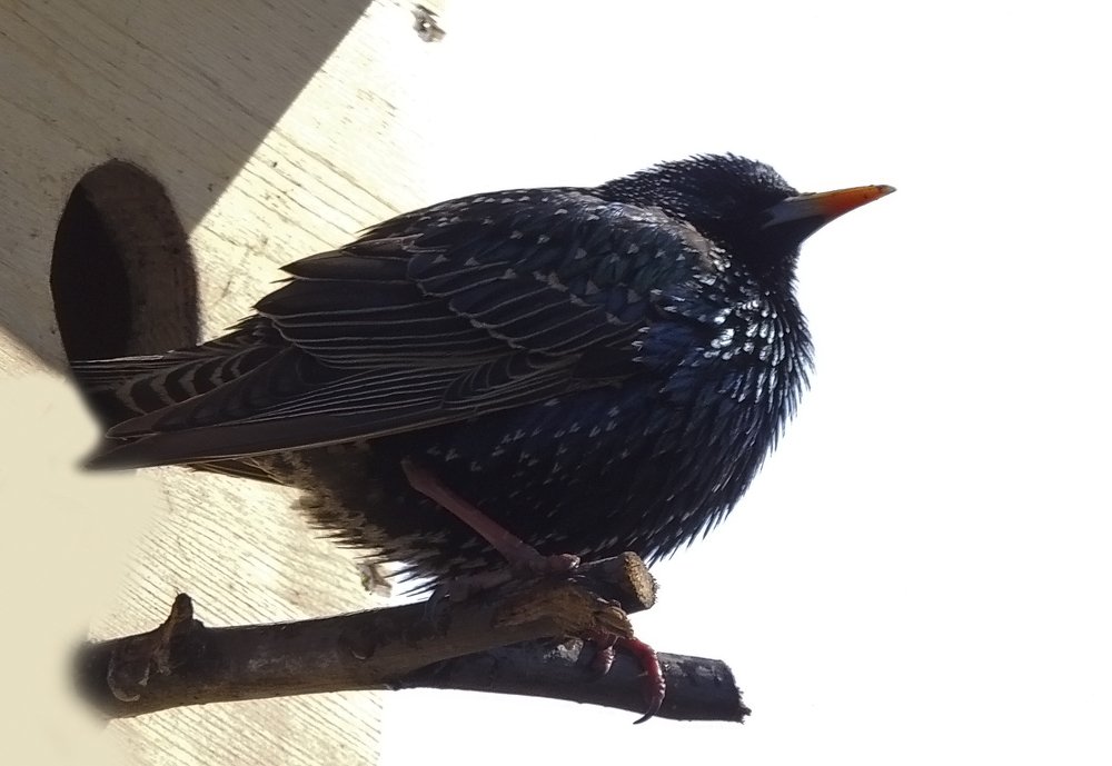 Photograph by Vladimir