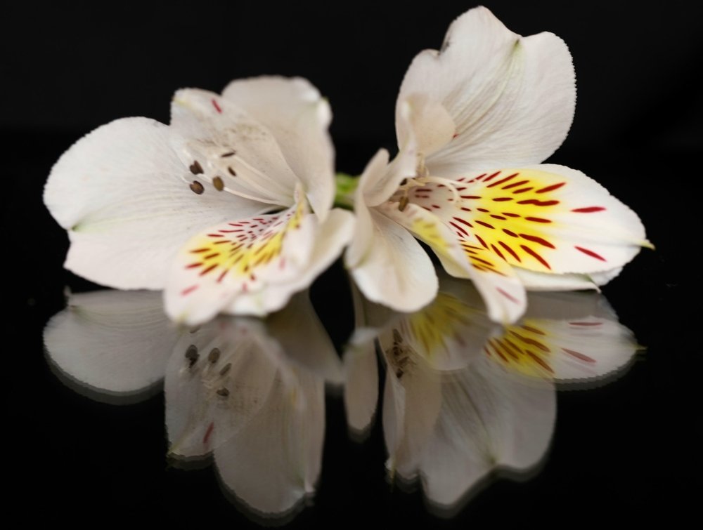 Photograph by Ирина Бунина