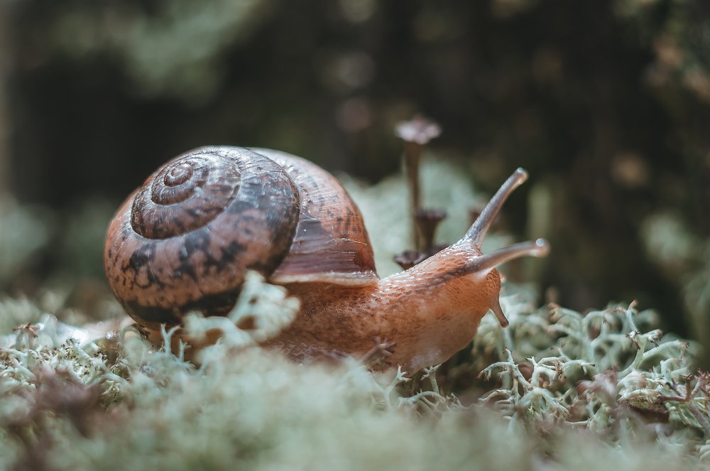 Photograph by Динара Зуйкова