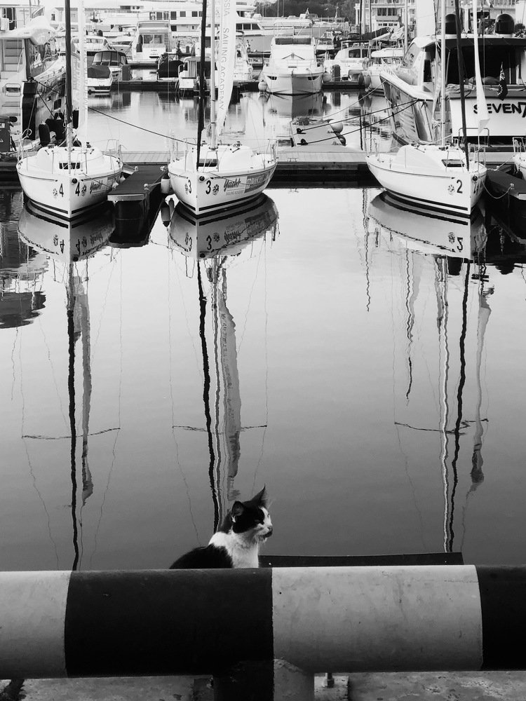 Photograph by Христина Фоминых