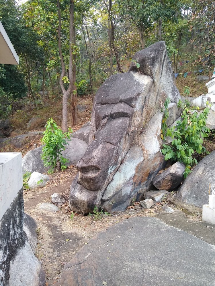 Photo #4543068