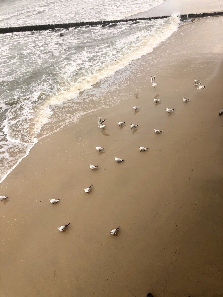 Photograph by Христина Фоминых