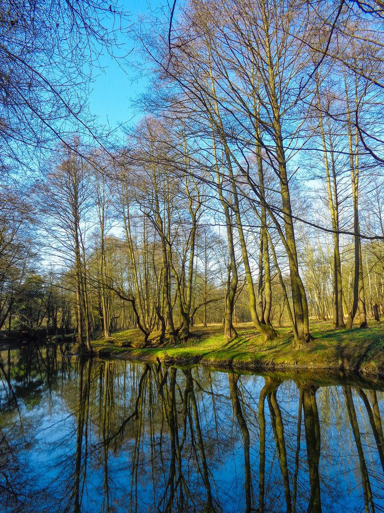 Весеннее зеркало.