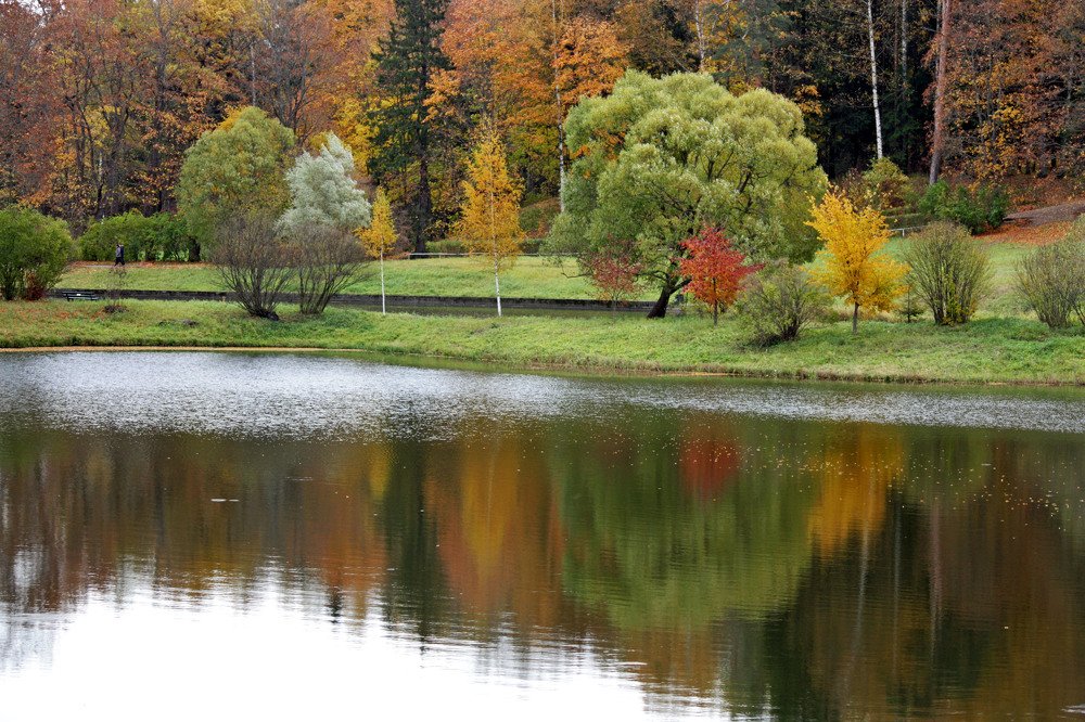 Photograph by Ирина Румянцева