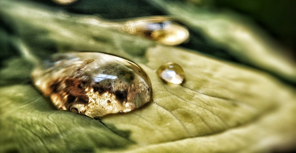 Photo #4543289