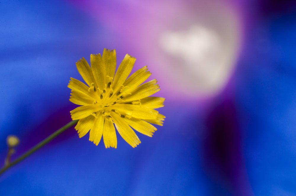 Photograph by Hector Cuestas Venegas