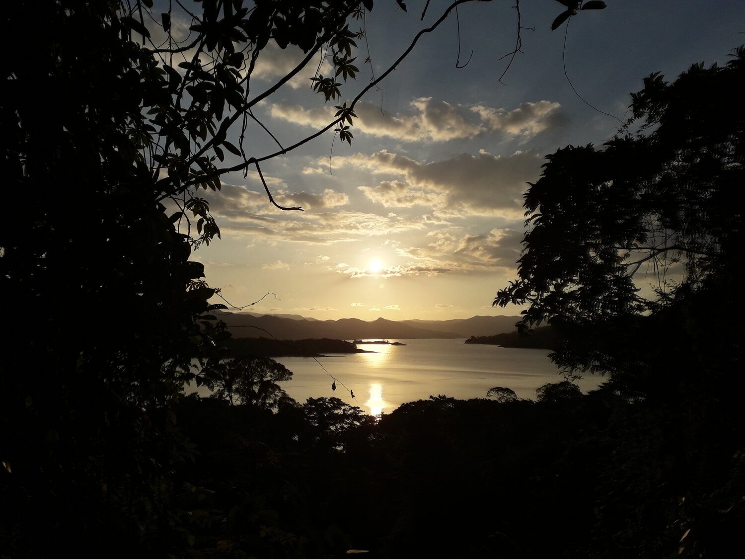 Photo #4543388