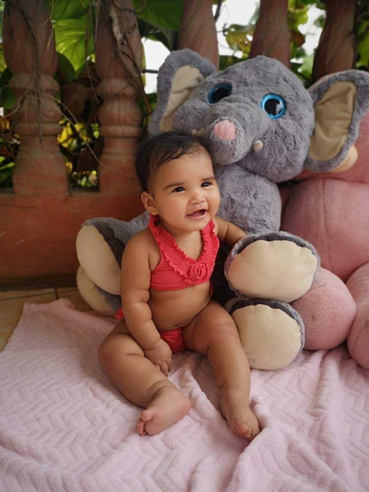 Photo #4543445
