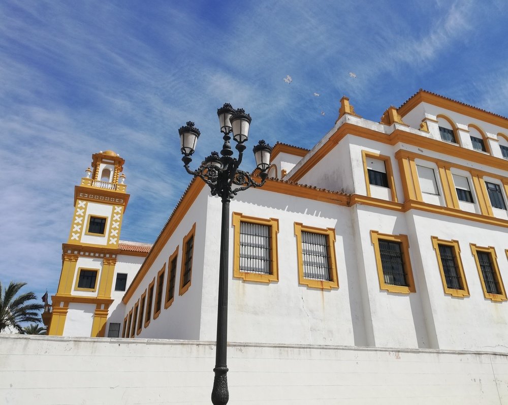 Photograph by José Pablo Cedeño Treviño