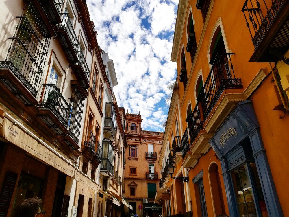 Photograph by José Pablo Cedeño Treviño