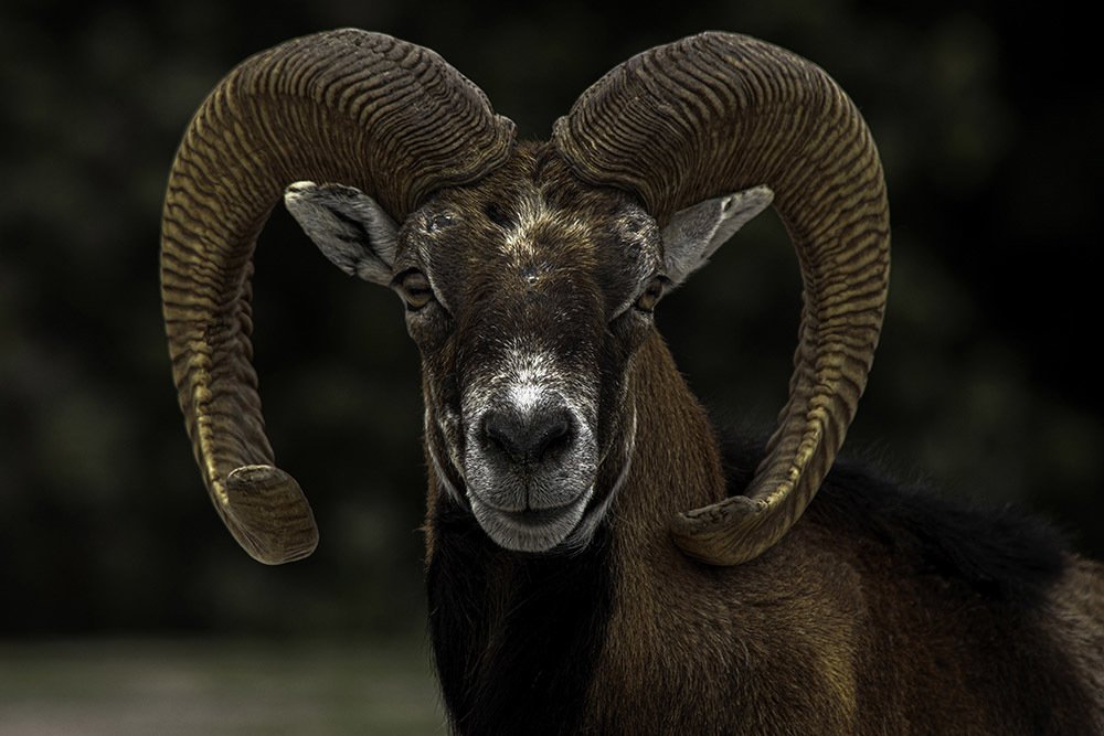 Photograph by Gabriela Flores Cordova