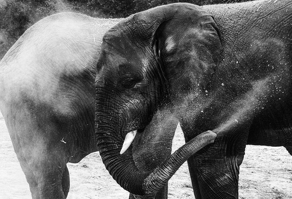 Photograph by Gabriela Flores Cordova