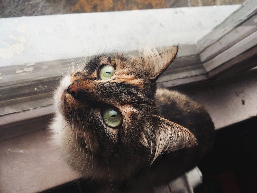 Photograph by Екатерина Безлепкина