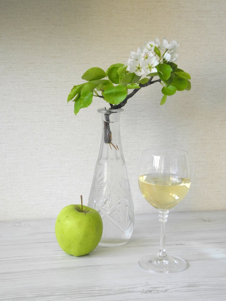 Плесни весны