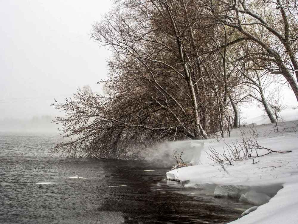 Photograph by Надежда