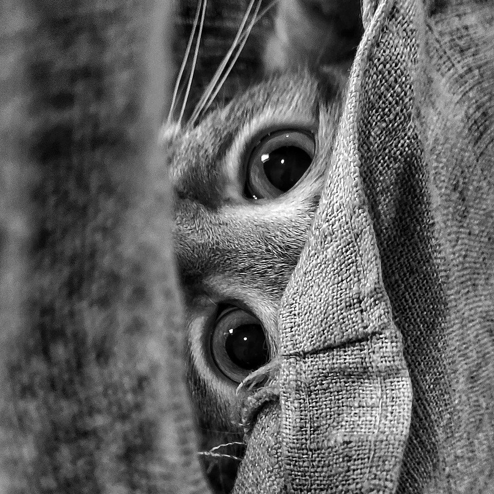 Photograph by Алеся Писнова