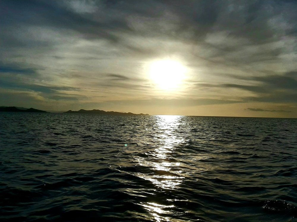 Photo #4543832