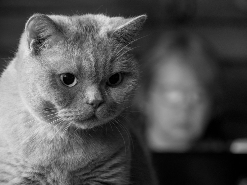 Photograph by 