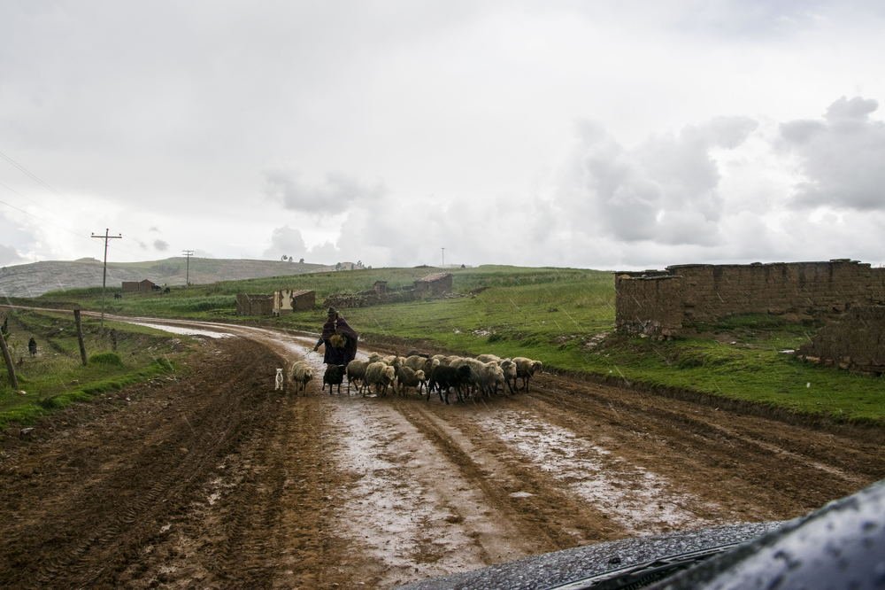 Photograph by boris valdiviezo