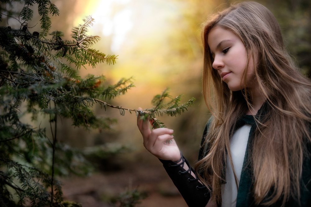 The Girl in the Forest