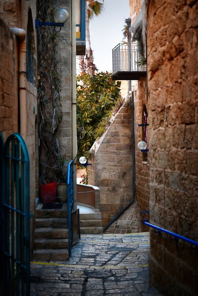 Photograph by David Lerer