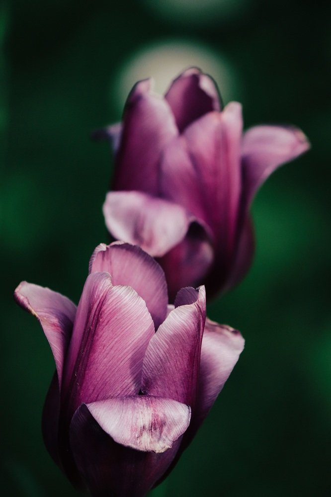 Photograph by Екатерина Безлепкина
