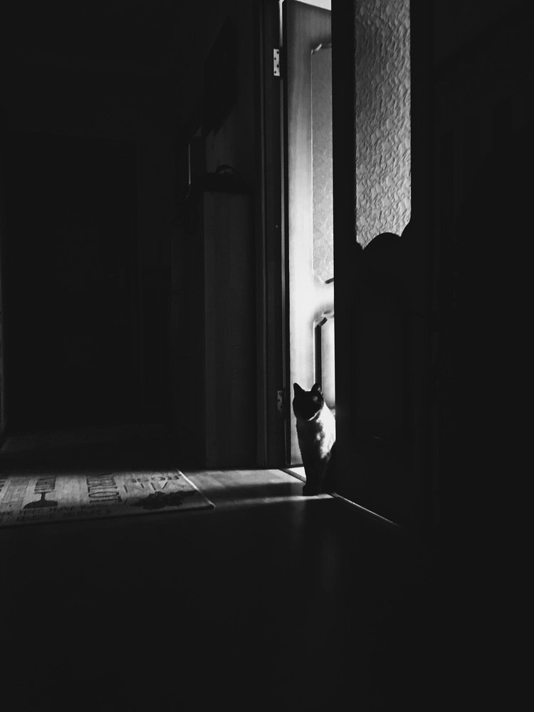 Photograph by Екатерина Безлепкина