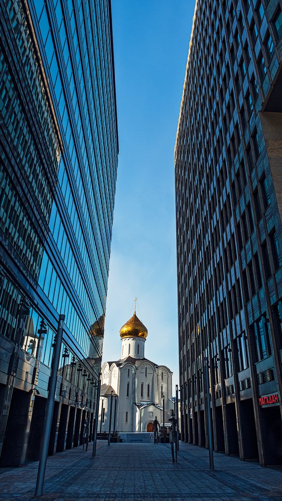 Фотография автора 