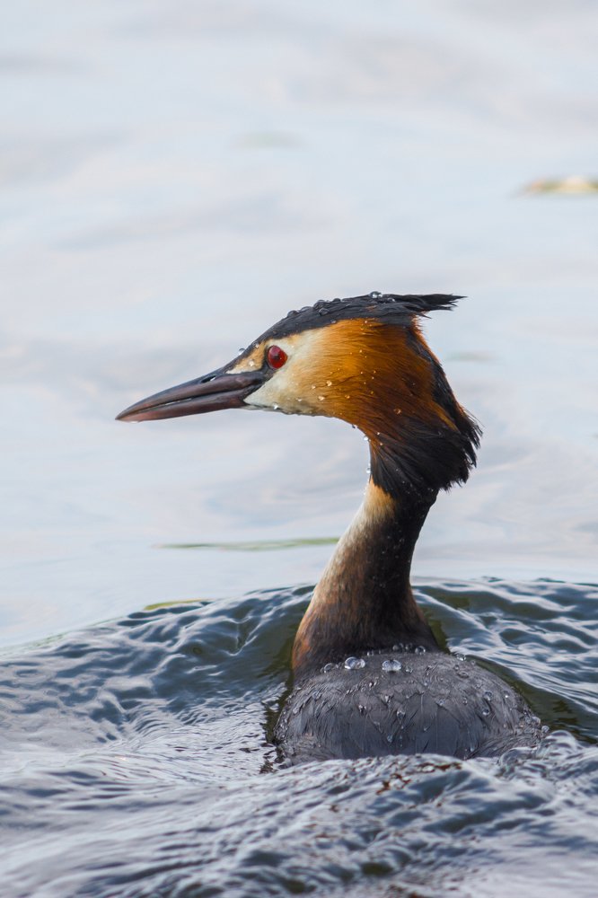 Photograph by Анастасия Попельская