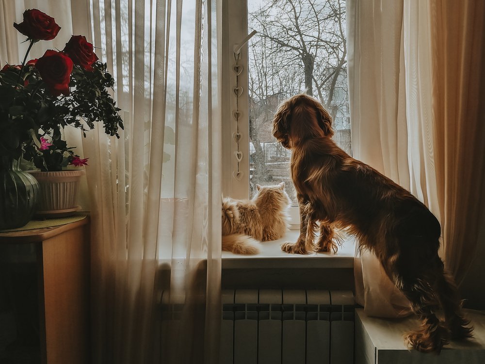 Photograph by Валентина Новобранец