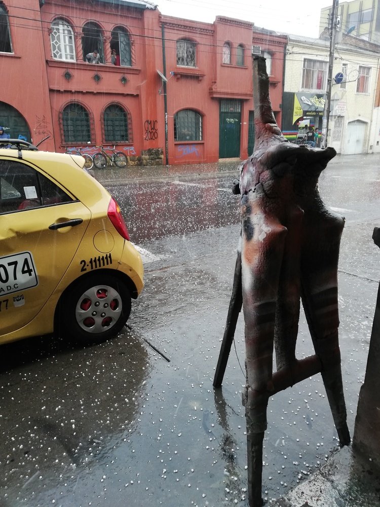 Photo #4544510