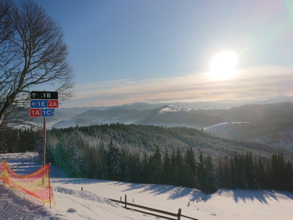 Photo #4544542