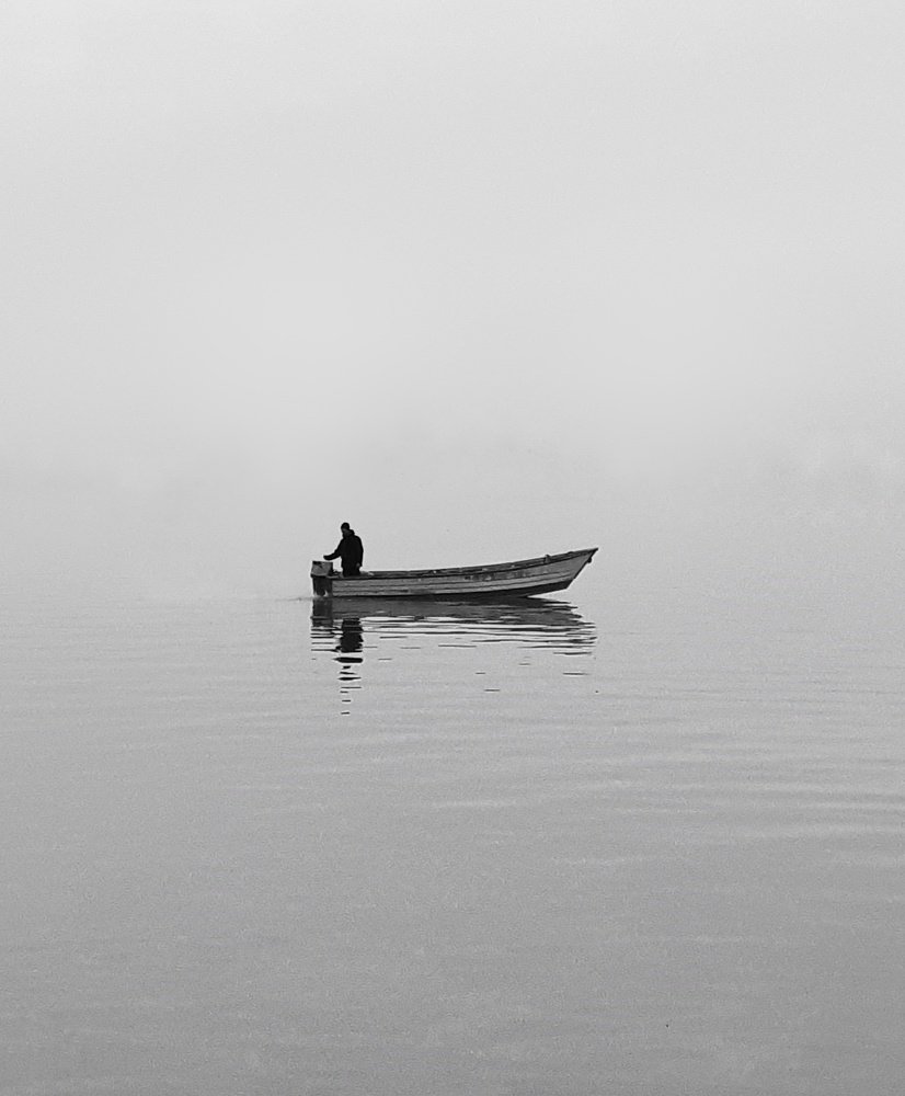 Photograph by Amir Kia
