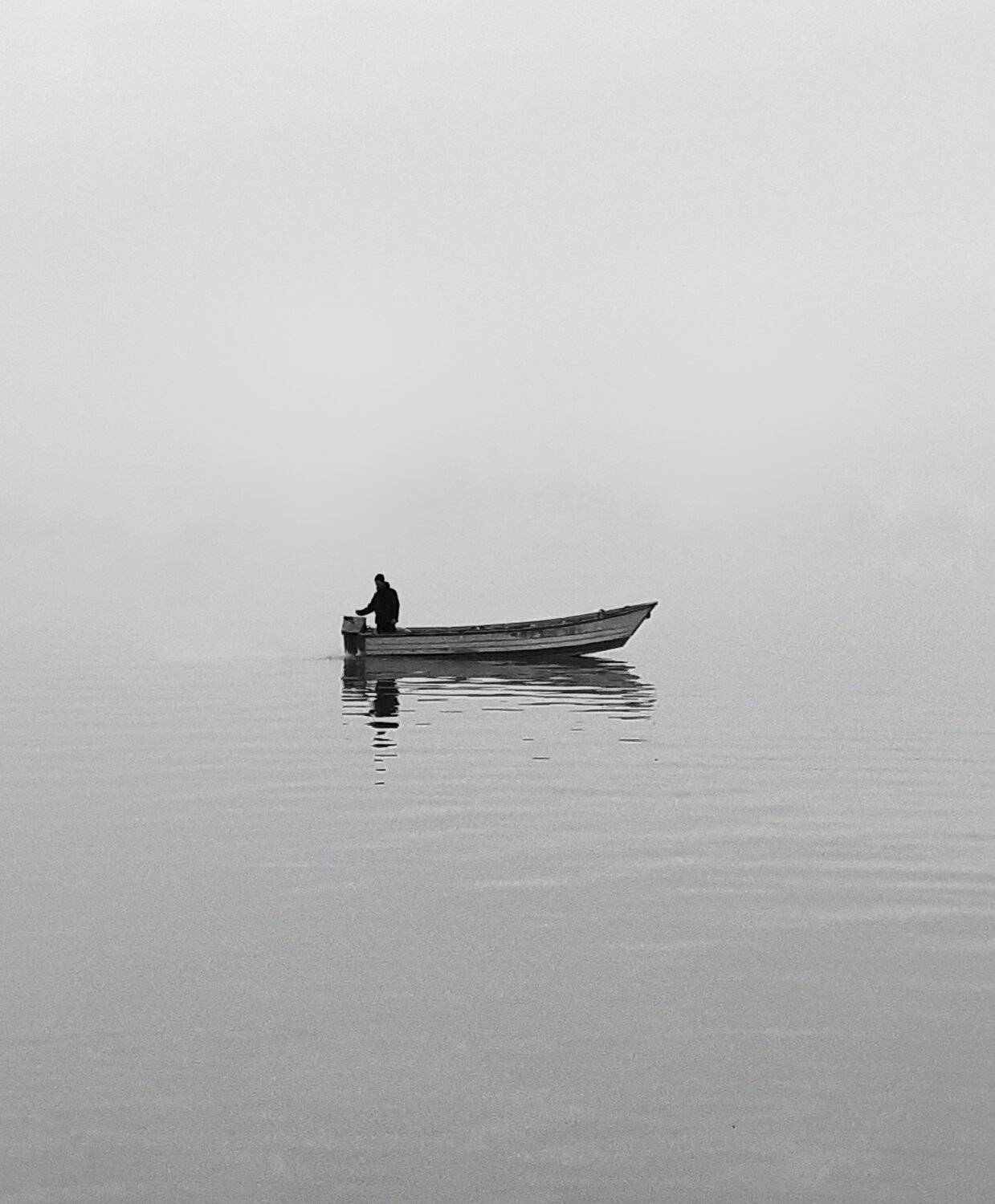 Photo #4544774