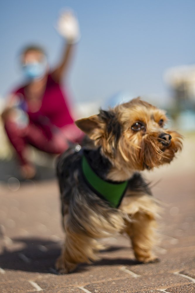 Фотография автора Marina Starovoyt