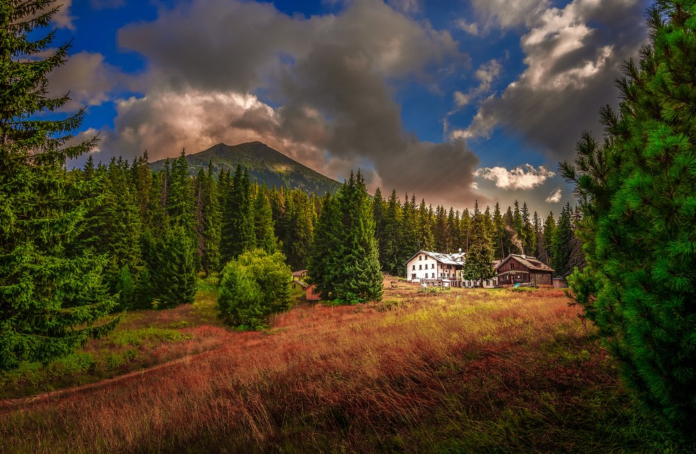 Photograph by Venelin Dimitrov