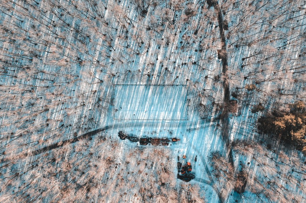 Спортивная площадка в лесу