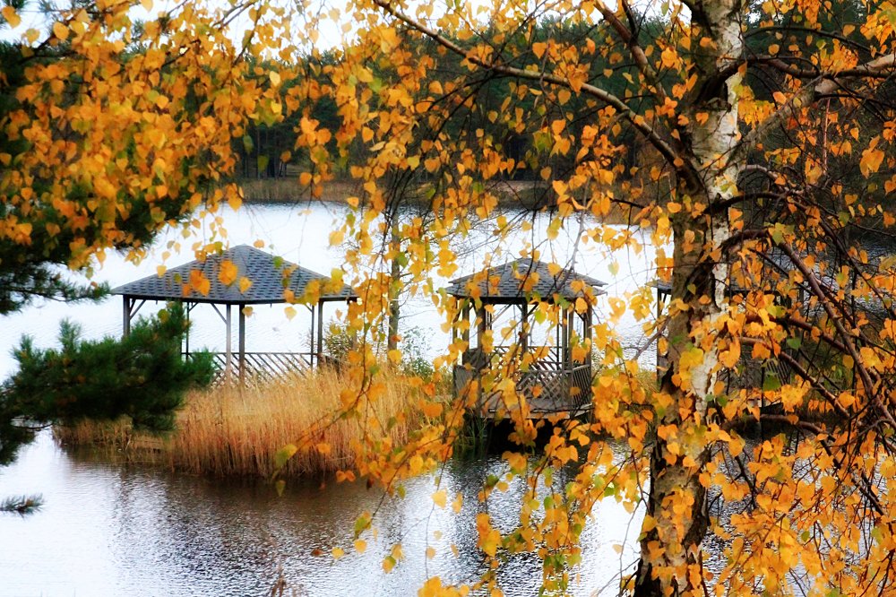 Photograph by Светлана Ковалёнок