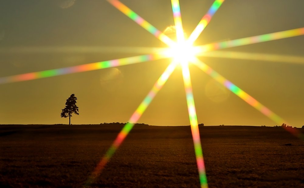 Photograph by Светлана Ковалёнок