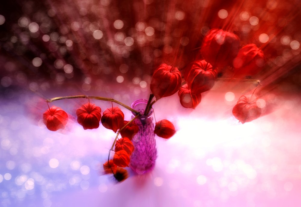 Photograph by Светлана Ковалёнок