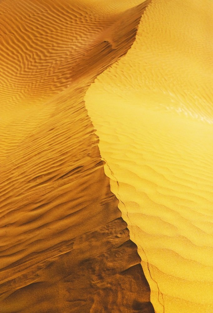 Photograph by Farzaneh Saeedan