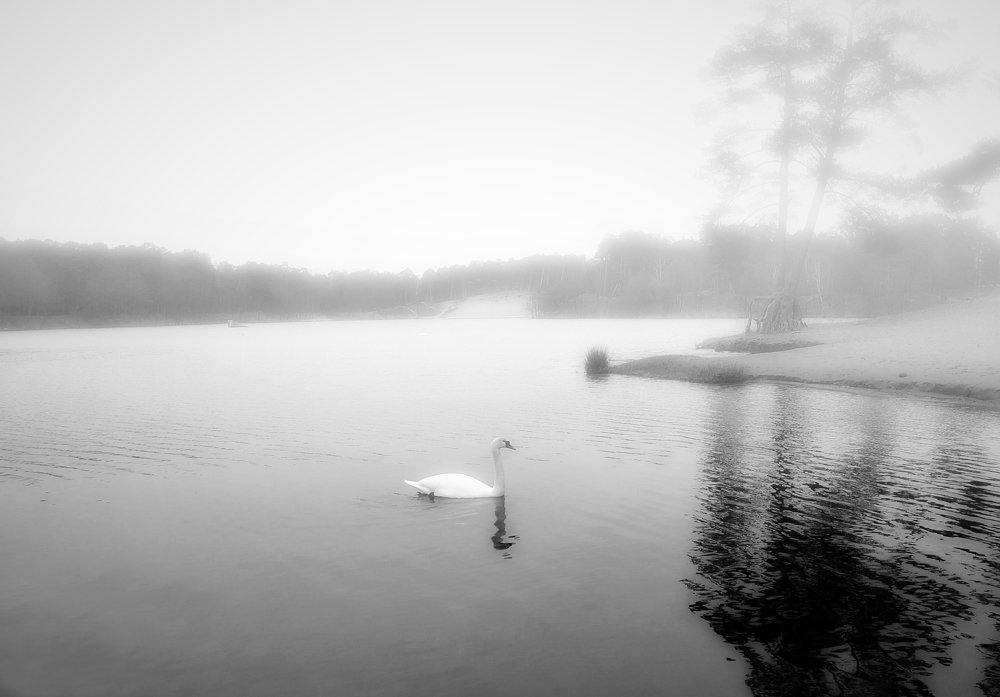 Photograph by Светлана Ковалёнок