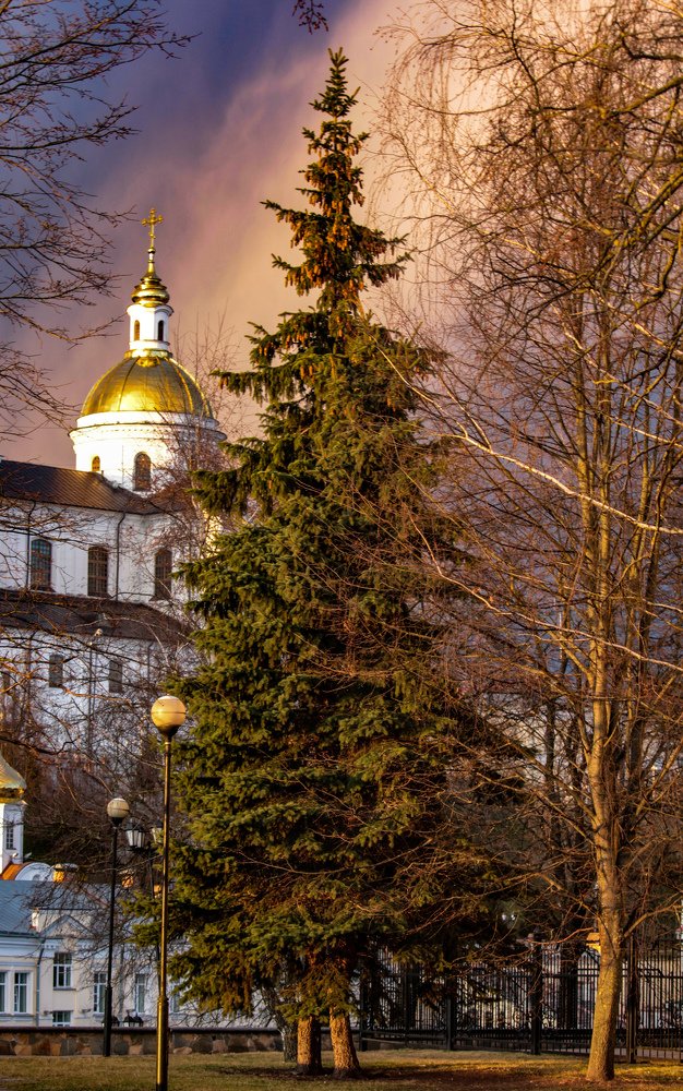 Photograph by Alexandra Chalova