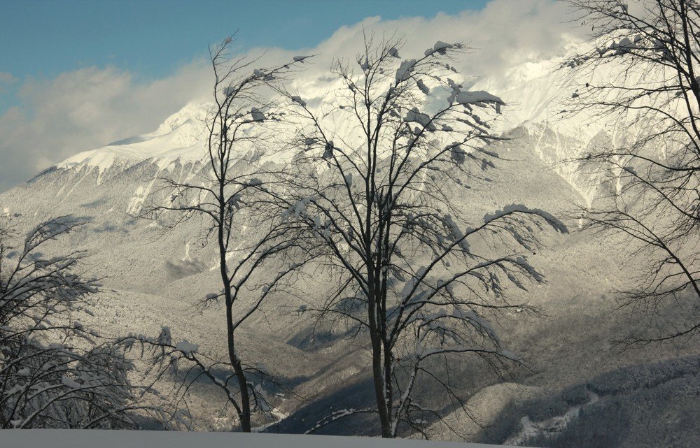 Photograph by Лада Денисова