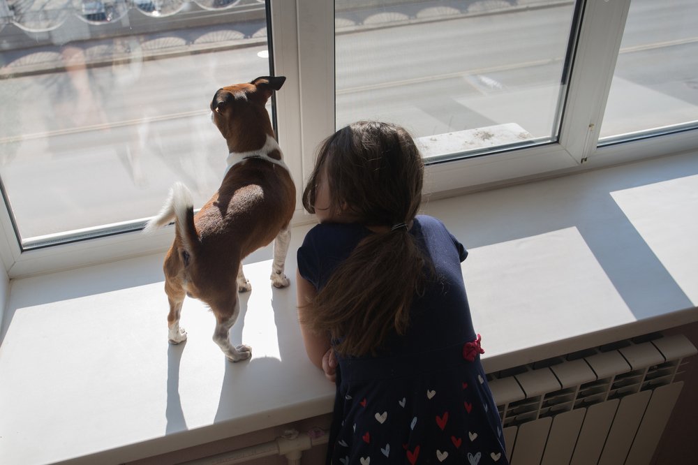 Photograph by Земцова Юлия