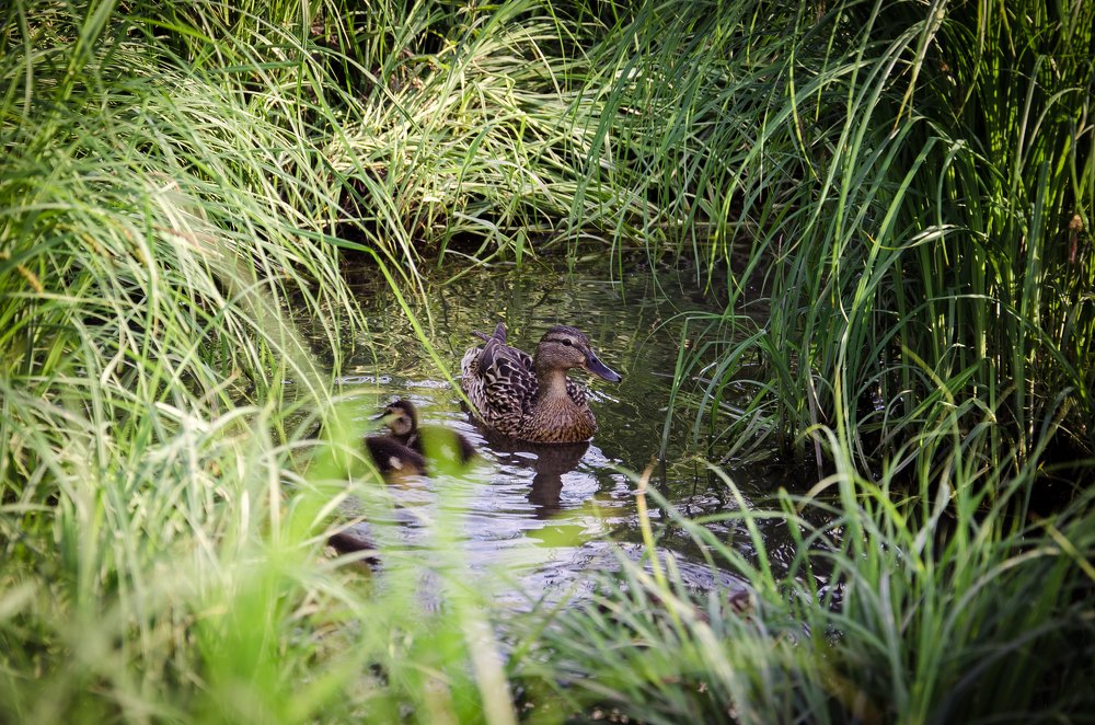 Фотография автора Дмитрий Войнов