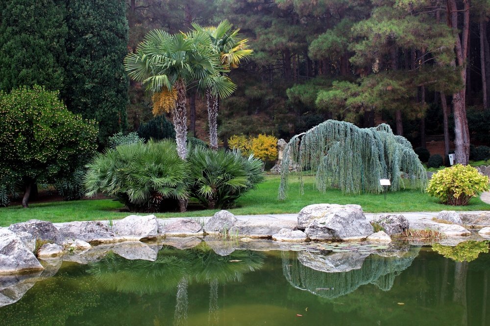 Парк в Партените