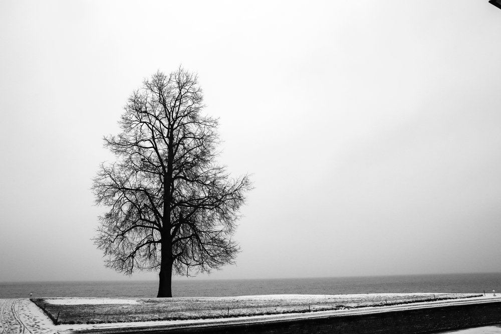 Photograph by Дмитрий Малышев